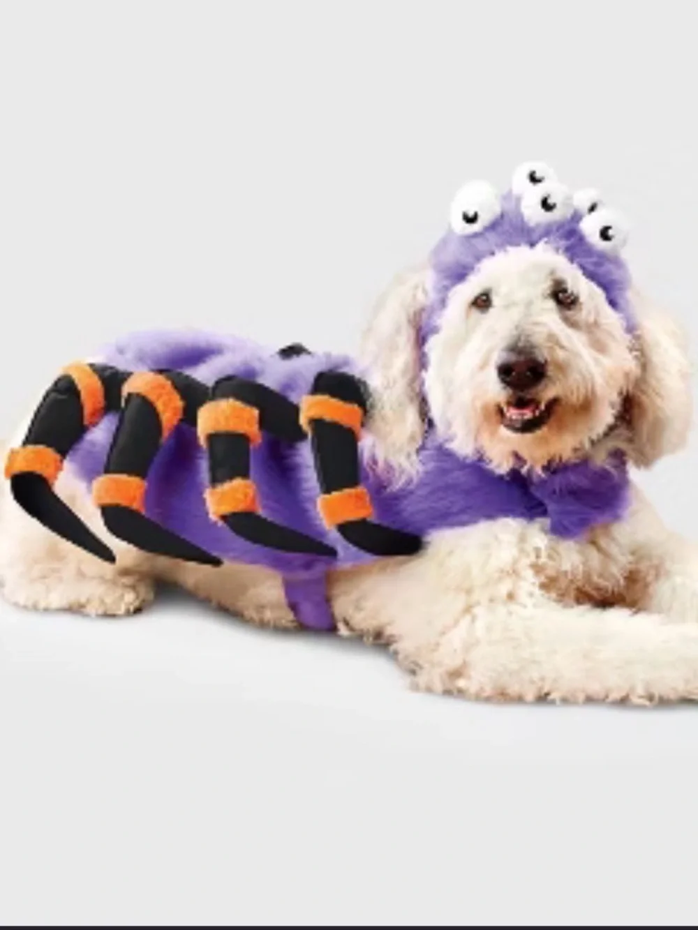 Boots & Barkley Purple Spider Pet Costume with Black and Orange Legs, XL